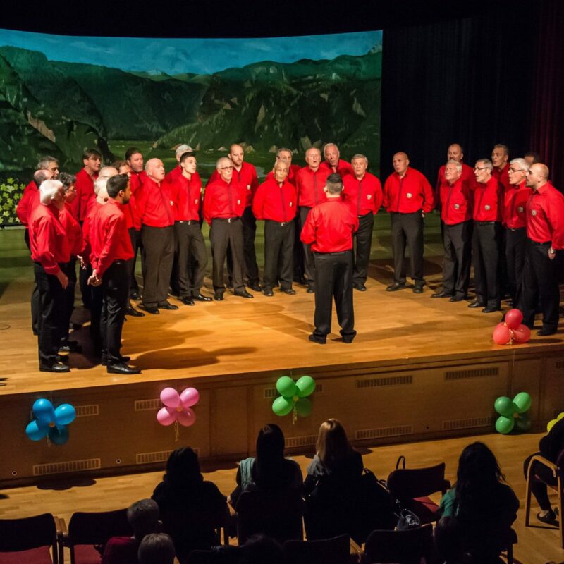 Coro Monti Pallidi a Bronzolo